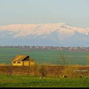 Meet your Posher, Besa